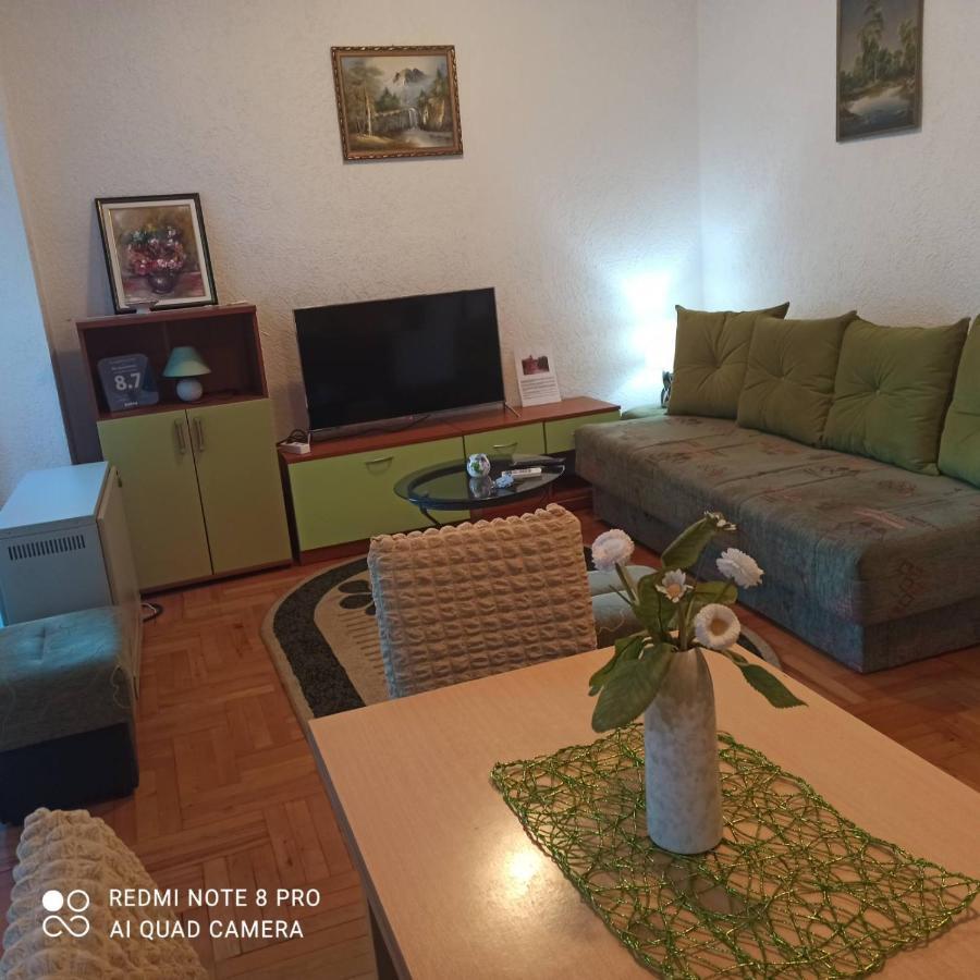 Apartman Radicevic Vrnjačka Banja Extérieur photo
